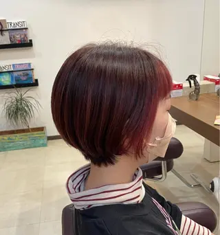 ショート カラー SOL .✂︎ 松永李帆のヘアスタイル