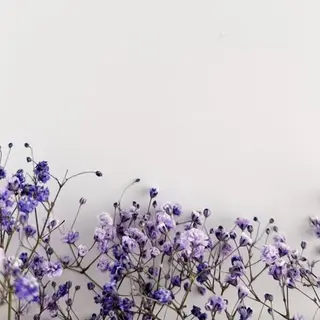 マツエク・マツパ リスブラン小伝馬町 AKARIのマツエク・マツパデザイン