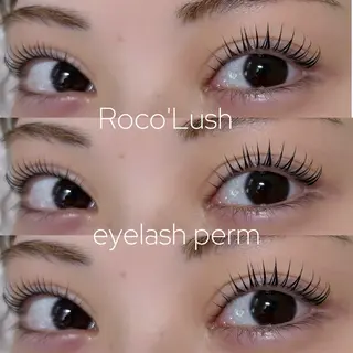 マツエク・マツパ Roco lush 🌼TOMOのマツエク・マツパデザイン