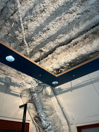 ミディアム カラー ヘアアレンジ メンズ デザインカラー 原宿/キシタのヘアスタイル