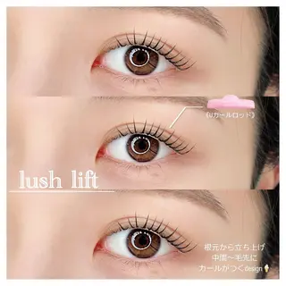 マツエク・マツパ マツパ/マツエク/ haruna🩰の眉毛・アイブロウイメージ