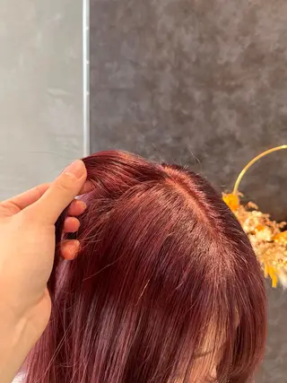 ミディアム カラー ♥️レイヤー/ボブ ♥️minamiのヘアスタイル