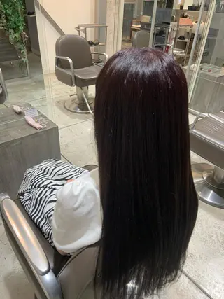 ロング カラー 西崎 満里奈のヘアスタイル