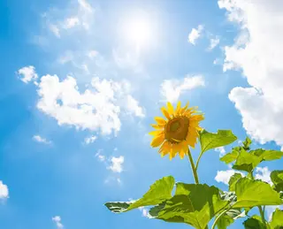 美肌脱毛サロン 琥珀所属・トータルビューティー 琥珀のエステ・リラクイメージ