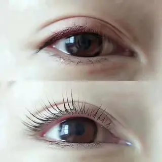 マツエク・マツパ 胡蝶蘭レディースサロン所属・胡蝶蘭レディースサロ ン眉マツパエクステの眉毛・アイブロウイメージ