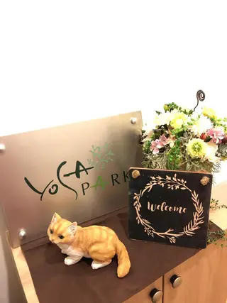 ヨサパーク  ルフ楢原店所属・水素×よもぎ蒸し YOSAPARKルフのエステ・リラクイメージ