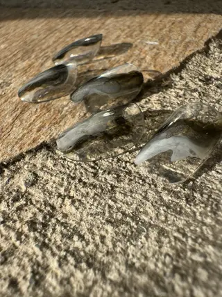 ネイル Angelique 本店 織田のネイルデザイン