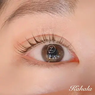 マツエク・マツパ Fujimoto 🦭⸝⋆꙳のマツエク・マツパデザイン