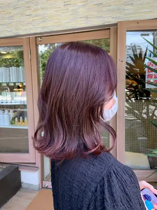 ミディアム カラー 🤍透明感/韓国風 🤍サクラギヒトミのヘアスタイル