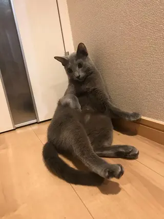 ショート カラー パーマ ヘアアレンジ メンズ キッズ ネイル マツエク・マツパ アイブロウ アニメ,Vオタク× 即効痩せエステサロンのエステ・リラクイメージ