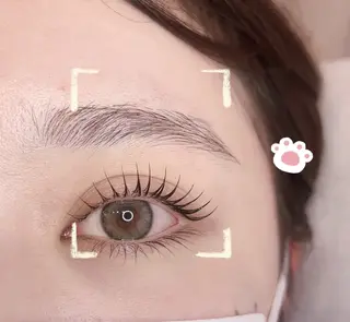 マツエク・マツパ 🌹ブリランテ🌹 大人気店のマツエク・マツパデザイン