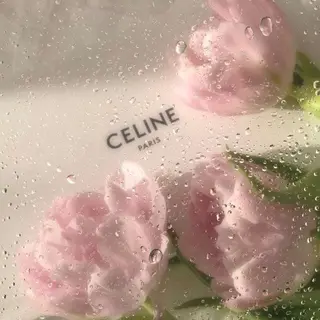 ãããšã¯ã»ããã ððªðŠðð éåœé¢š/ææ/æµæ¯å¯¿ã®ãããšã¯ã»ããããã¶ã€ã³