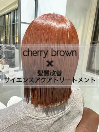 ミディアム カラー 髪質改善/縮毛矯正/ 艶髪/春山良太のヘアスタイル