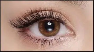 マツエク・マツパ mavie eyelashのマツエク・マツパデザイン
