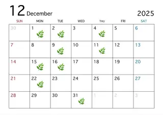 ミディアム ハイトーン/寒色系 カラー/Risa🌿のヘアスタイル