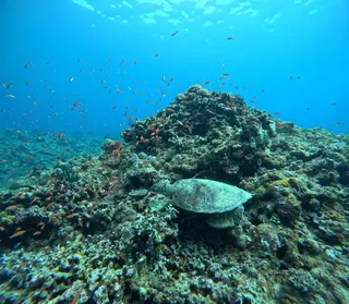 コパン Copainのマツエク・マツパデザイン