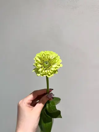 セミロング カラー 暖色カラー/ ヘアセット🌛櫻井舞のヘアスタイル