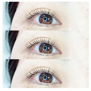 マツエク・マツパ Lotus所属・Lotus ロータスのマツエク・マツパデザイン