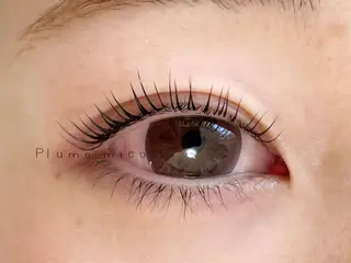 マツエク・マツパ Plume micoのマツエク・マツパデザイン