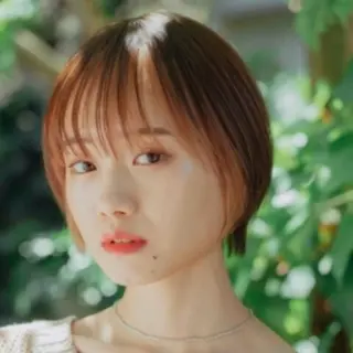 ショート カラー ハイトーン/ボブ/ ハイライト🌱ᩚ涼介のヘアスタイル