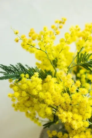 ショート カラー パーマ ヘアアレンジ メンズ キッズ ネイル マツエク・マツパ アイブロウ Chloe-クロエ- 脱毛/フェイシャルのエステ・リラクイメージ