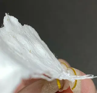 JILL sa-yaのネイルデザイン