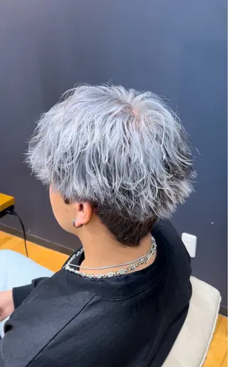 ショート カラー メンズ ハイトーン、カラー 特化⟡.·すわ☁️のヘアスタイル
