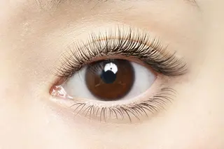 マツエク・マツパ 岩永 知衣の眉毛・アイブロウイメージ