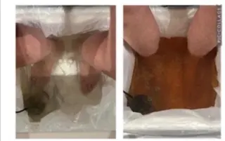 メディカルエステ マドンナのエステ・リラクイメージ