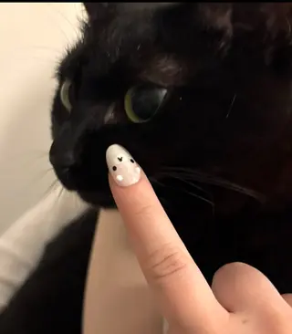 ネイル un.  private nail salon所属・un.private nail salonのネイルデザイン