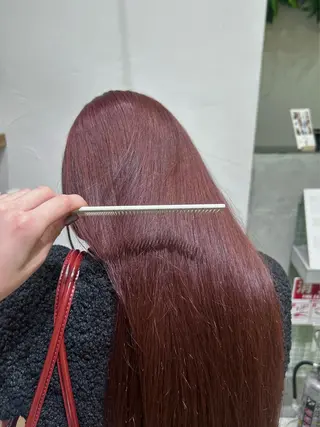 ロング カラー 🫧透明感カラー/ 寒色カラー/Risaのヘアスタイル