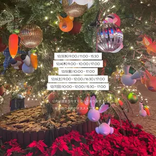 マツエク・マツパ EARTH ‎𖤐 シライシのマツエク・マツパデザイン