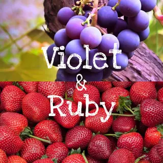 ミディアム HARUKI 艶髪特化美容師のヘアスタイル