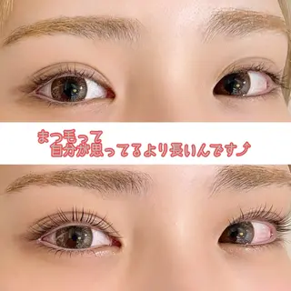 マツエク・マツパ RIM所属・RIM 🕊️ 恵比寿店のマツエク・マツパデザイン