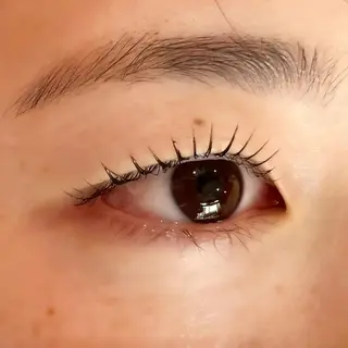 マツエク・マツパ Celeste Venus所属・🧸Celeste Venusのマツエク・マツパデザイン