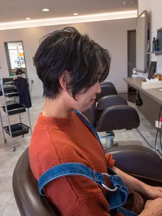 ショート カラー 星野 美沙のヘアスタイル