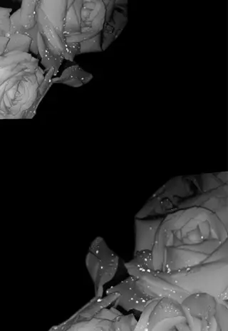 マツエク・マツパ riona ⠀のマツエク・マツパデザイン