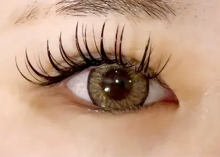 マツエク・マツパ Celeste Venus所属・🧸Celeste Venusのマツエク・マツパデザイン