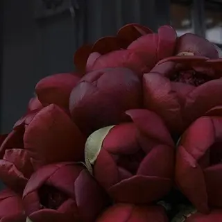 IwAsh  大和駅店所属・shiho .のヘアスタイル