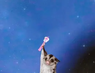 アイブロウ Bianca 大宮店 YANAGI🐕のマツエク・マツパデザイン