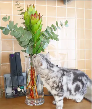 RENsalon大阪 体質改善リトリートのエステ・リラクイメージ