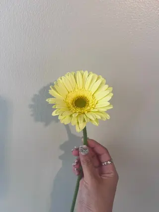 暖色カラー/ ヘアセット🌛櫻井舞のヘアスタイル