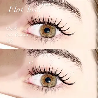 マツエク・マツパ eyelash&eyebrow Erde所属・Erde/ horizoe🕊️の眉毛・アイブロウイメージ