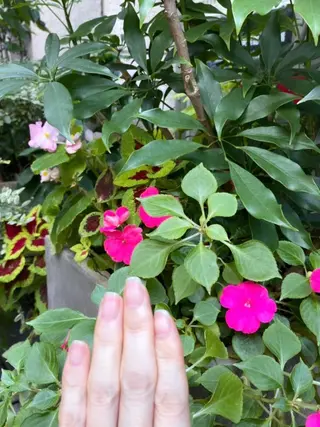 メンズ ネイル ハンドケア&ネイルケア桃の木所属・ケアリスト🍀 マリユキのネイルデザイン