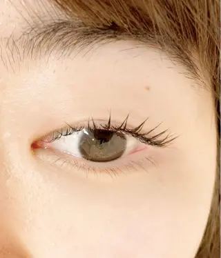 マツエク・マツパ 🧸Lily船橋 石川🌿のマツエク・マツパデザイン