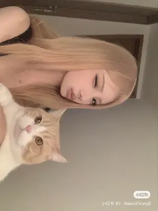 カラー 🍒レイヤーカット/ 暖色カラー🍒のヘアスタイル