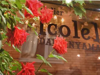 Dahlia所属・Dahlia 鈴木のヘアスタイル