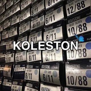 カラー ❤️‍🔥シールエク ＋カラー京❤️‍🔥のヘアスタイル