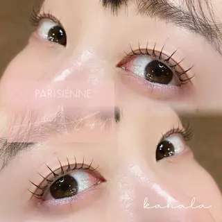 マツエク・マツパ Fujimoto 🦭⸝⋆꙳のマツエク・マツパデザイン