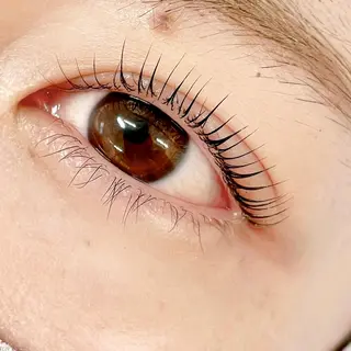 ãããšã¯ã»ããã ã¢ã€ãã㊠MAUMU eyelash&eyebrow salonæå±ã»ððð ð€ êš ææãŸã€æ¯ êšåå æ±ã®ãããšã¯ã»ããããã¶ã€ã³